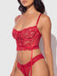 HARLOW LACE & MESH BUSTIER & BACKLESS HIPSTER SET