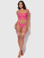 HARLOW LACE & MESH BUSTIER & BACKLESS HIPSTER SET