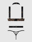 DEVON STRAPPY PUSH UP BRA, HARNESS & G-STRING SET