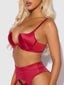 BRIGETA SATIN DEEP PLUNGE PUSH UP BRA, GARTER & THONG SET