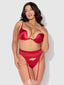 BRIGETA SATIN DEEP PLUNGE PUSH UP BRA, GARTER & THONG SET