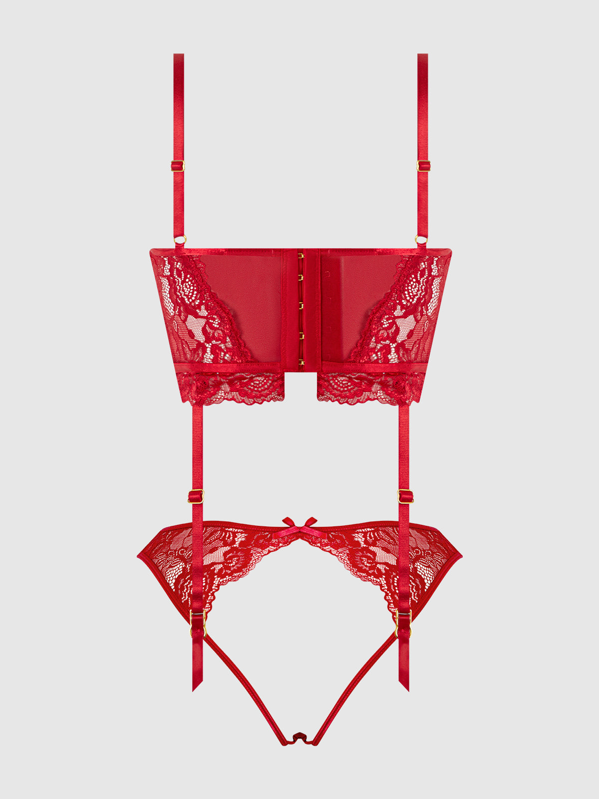 HARLOW LACE & MESH BUSTIER & BACKLESS HIPSTER SET