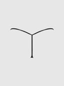 ALLEGRA SILKY MICRO G-STRING