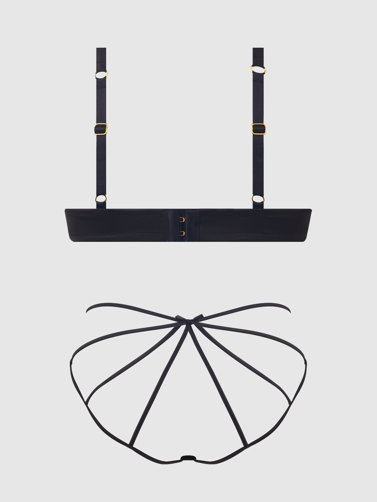 BRIGETA SATIN & MESH CORSETTED BRA & OPEN BACK HIPSTER SET