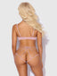 BRIGETA SATIN & MESH CORSETTED BRA & OPEN BACK HIPSTER SET