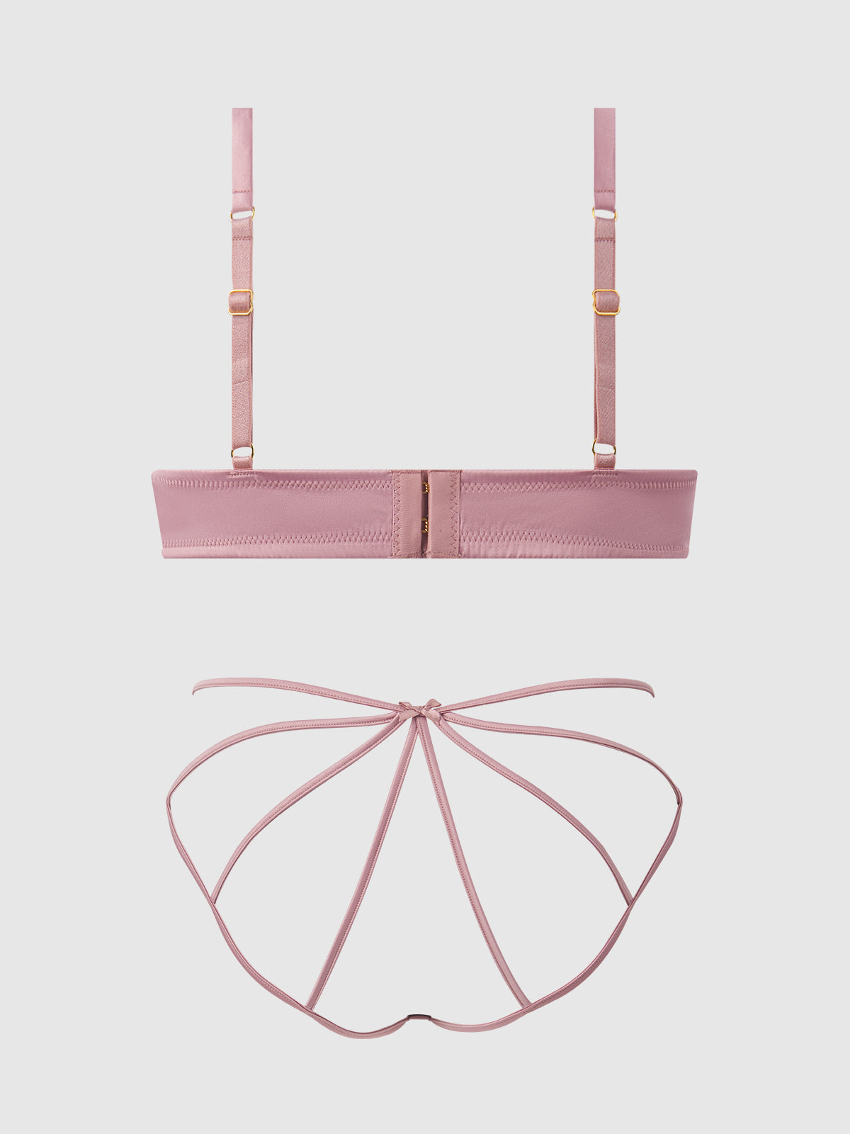 BRIGETA SATIN & MESH CORSETTED BRA & OPEN BACK HIPSTER SET